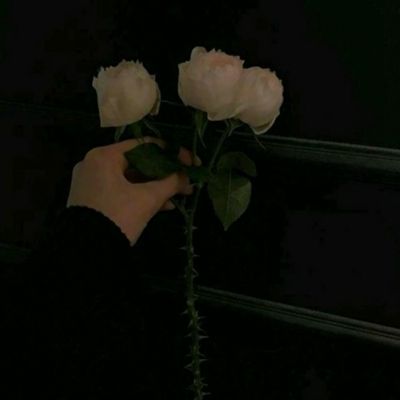 澳门威斯尼斯WNS888入口截图